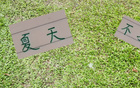 申花領(lǐng)先6分，國(guó)安續(xù)約烏，夏窗靜待。