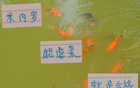 中超強(qiáng)隊(duì)，米內(nèi)羅申花C位，前鋒穩(wěn)虐，實(shí)力合格。