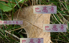 中超豪門6月7日戰(zhàn)，海港進(jìn)球七粒領(lǐng)跑