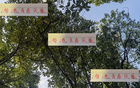 海港青春風(fēng)暴，李新翔領(lǐng)銜，大連賽進球助攻亮眼！