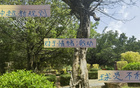 中超新規(guī)不利申花特謝拉，需調(diào)整隊(duì)長(zhǎng)或增吳曦盯人。