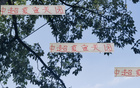 夏窗收官，四隊顯高級風范。
