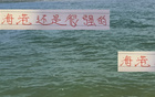 挑刺雖挑刺，海港預(yù)算有限仍居榜二，實(shí)力非凡。