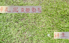 申花引援李可，蓉城租借多特神筆