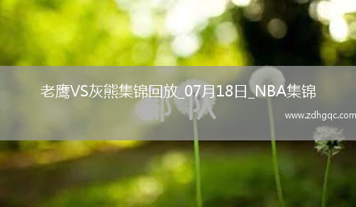 夏聯(lián)-麥克維20分 紐厄爾14+8 斯莫爾17+5+5 老鷹險(xiǎn)勝灰熊