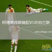 阿德萊德眼鏡蛇VS坎伯蘭聯(lián)