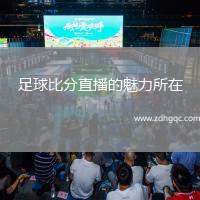 足球比分直播的魅力所在