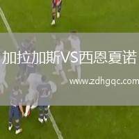 加拉加斯VS西恩夏諾