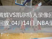 NBA常規(guī)賽黃蜂86-93凱爾特人