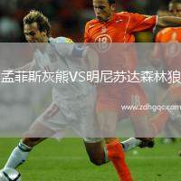 孟菲斯灰熊VS明尼蘇達森林狼
