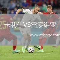 卡利什VS雷索維亞