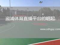 溆浦體育直播平臺(tái)的崛起