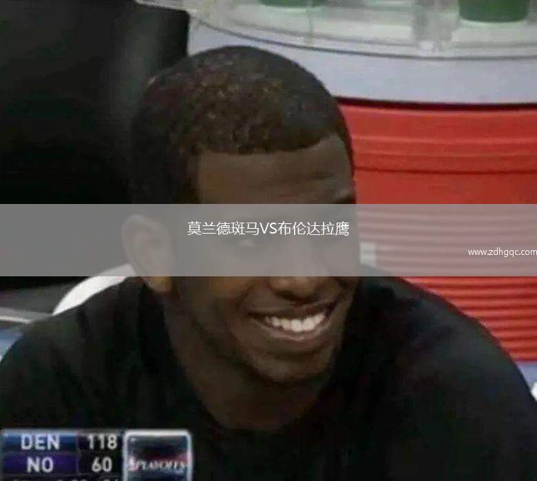 莫蘭德斑馬VS布倫達(dá)拉鷹
