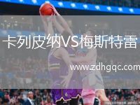 卡列皮納VS梅斯特雷