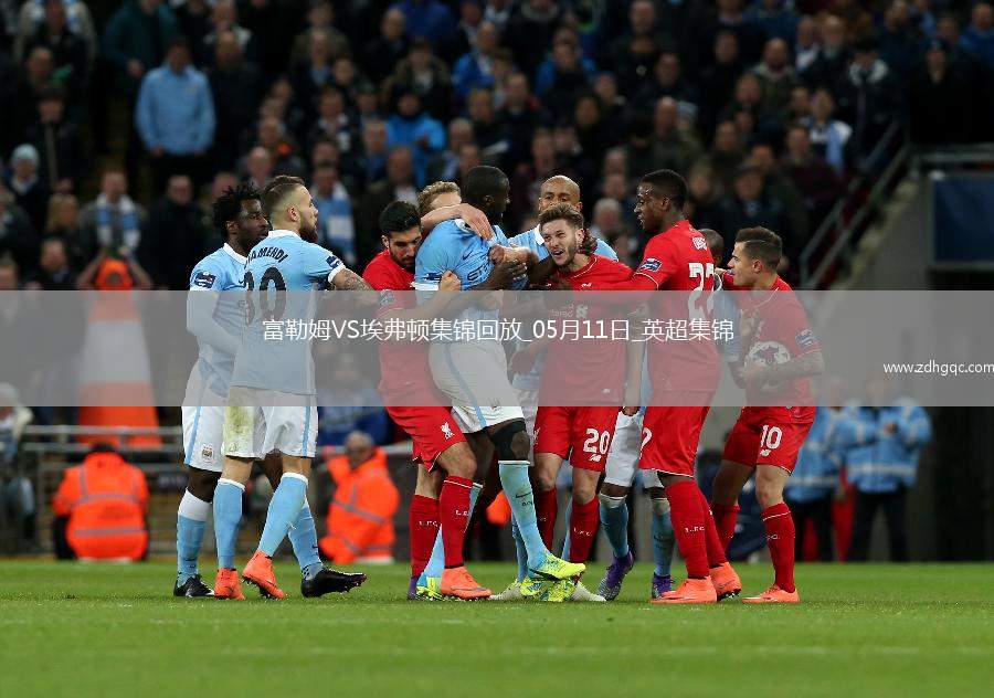 英超-米科連科破門埃弗頓客場3-1逆轉(zhuǎn)富勒姆