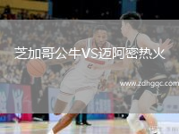 芝加哥公牛VS邁阿密熱火