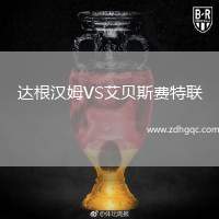 達(dá)根漢姆VS艾貝斯費(fèi)特聯(lián)