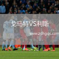 戈馬特VS利斯