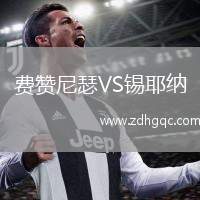 費(fèi)贊尼瑟VS錫耶納