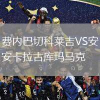 費(fèi)內(nèi)巴切科萊吉VS安卡拉古庫(kù)瑪馬克