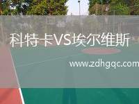 科特卡VS埃爾維斯