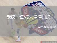 武漢三鎮(zhèn)VS天津津門虎