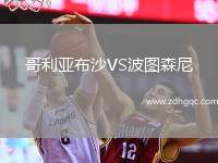 哥利亞布沙VS波圖森尼