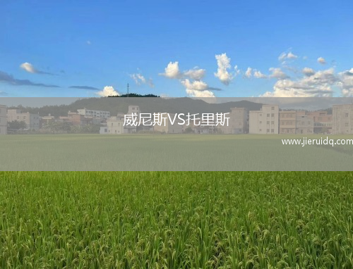 雅各布曼蘇爾VS迪瑟利亞