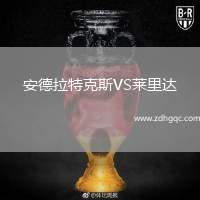 安德拉特克斯VS萊里達