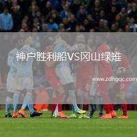 神戶勝利船VS岡山綠雉