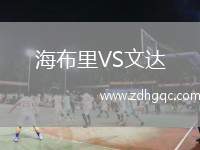 海布里VS文達