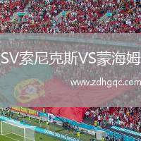 SV索尼克斯VS蒙海姆