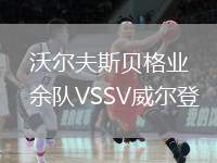 沃爾夫斯貝格業(yè)余隊(duì)VSSV威爾登