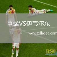 草蜢VS伊韋爾東