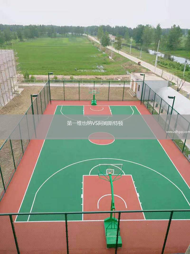 第一維也納VS阿姆斯特頓