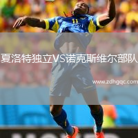 夏洛特獨(dú)立VS諾克斯維爾部隊(duì)
