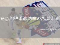 布杰約維采迪納摩VS特普利斯