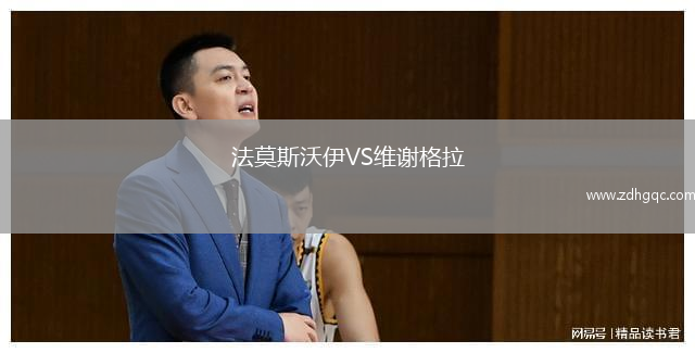 法莫斯沃伊VS維謝格拉
