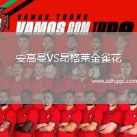 安高曼VS昂格萊金雀花