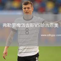 弗勒里梅洛吉斯VS哈古恩奧