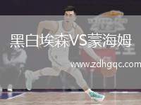 黑白埃森VS蒙海姆