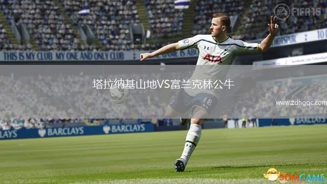 塔拉納基山地VS富蘭克林公牛