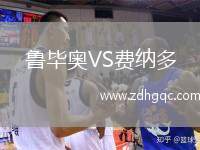 魯畢奧VS費納多