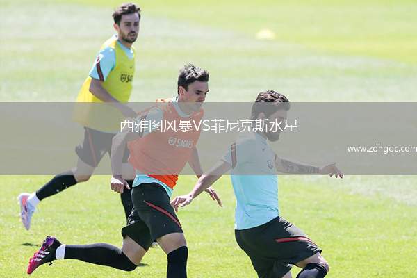 西雅圖風暴VS菲尼克斯水星