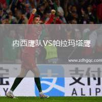 內(nèi)西鷹隊(duì)VS帕拉瑪塔鷹