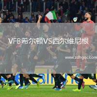 VFB希爾頓VS西爾維尼根