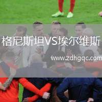 格尼斯坦VS埃爾維斯
