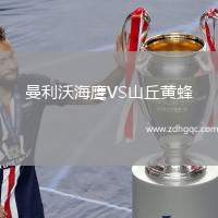 曼利沃海鷹VS山丘黃蜂
