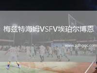 梅茲特海姆VSFV埃珀?duì)柌┒? /> </a>
            <div   id=