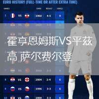 霍亨恩姆斯VS平茲高 薩爾費(fèi)爾登